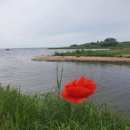 Paeevatalu Camping Hotell Vilusi Eksteriør bilde