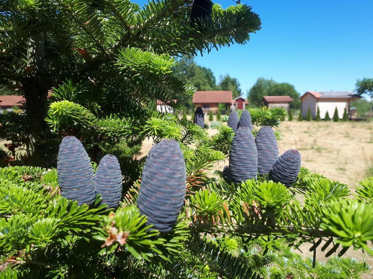 Paeevatalu Camping Hotell Vilusi Eksteriør bilde